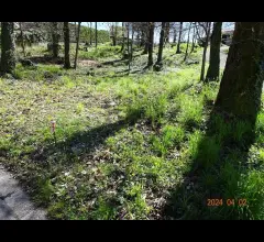 Appartamenti in Vendita - Terreno edificale a ello