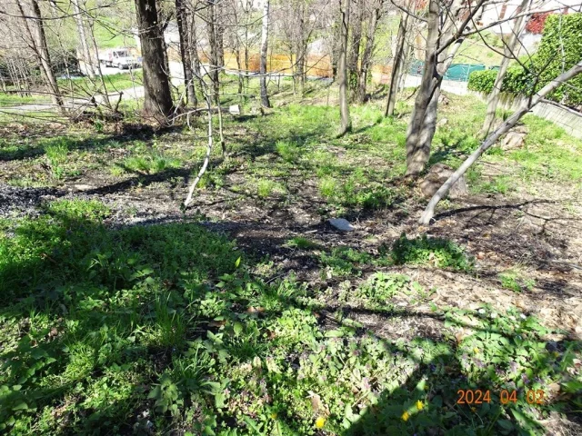 Appartamenti in Vendita - Terreno edificale a ello