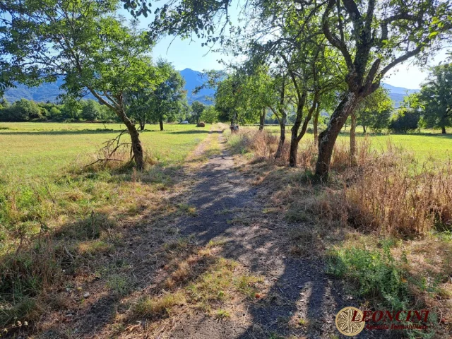 Appartamenti in Vendita - P111 rustico casale con terreno