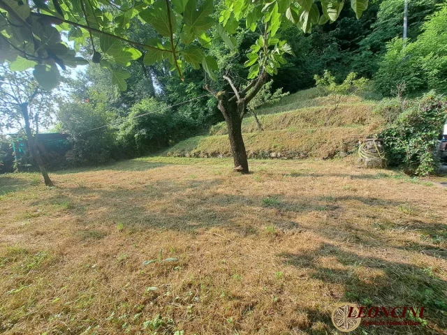 Appartamenti in Vendita - A353 rustico con terreno