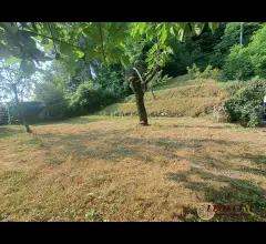 Appartamenti in Vendita - A353 rustico con terreno