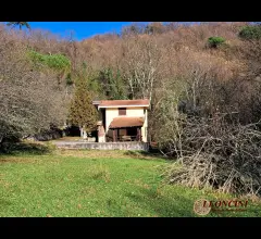 Appartamenti in Vendita - A343 rustico con terreno