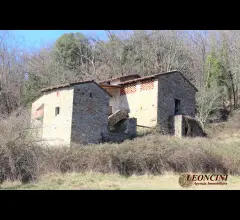 P123 casale con terreno