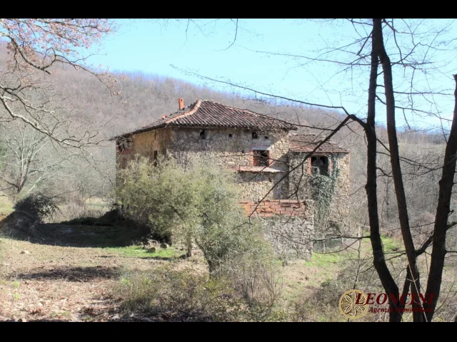 Appartamenti in Vendita - P123 casale con terreno