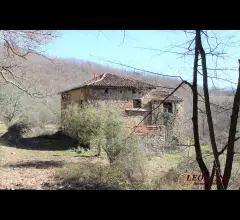 Appartamenti in Vendita - P123 casale con terreno