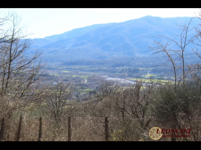 Appartamenti in Vendita - P122 casale con terreno cintato