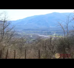 Appartamenti in Vendita - P122 casale con terreno cintato