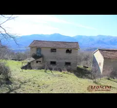 Appartamenti in Vendita - P122 casale con terreno cintato