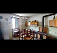Appartamenti in Vendita - A313 semindipendente con terreno