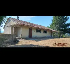 Appartamenti in Vendita - P109 casale con terreno e sorgente