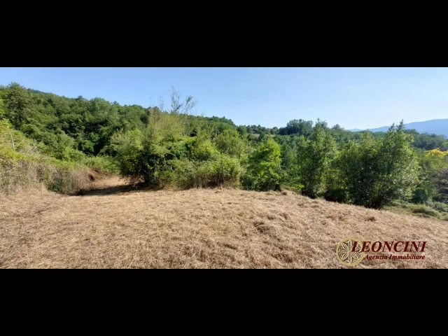 Appartamenti in Vendita - P109 casale con terreno e sorgente