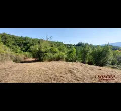 Appartamenti in Vendita - P109 casale con terreno e sorgente