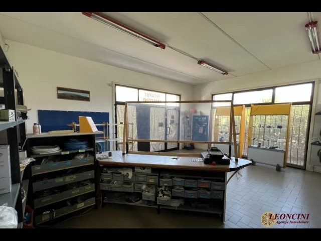 Appartamenti in Vendita - C002 capannone artigianale commerciale con appartamento