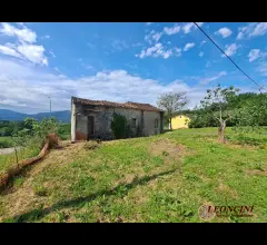 Appartamenti in Vendita - A310 rustico con terreno