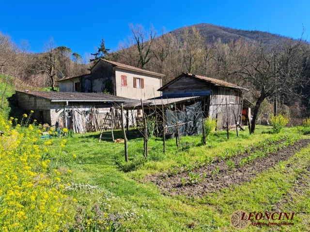 A375 rustico con terreno