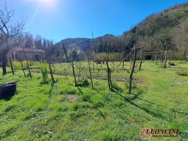 Appartamenti in Vendita - A375 rustico con terreno