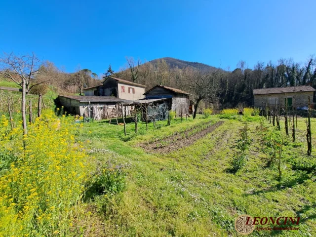 Appartamenti in Vendita - A375 rustico con terreno