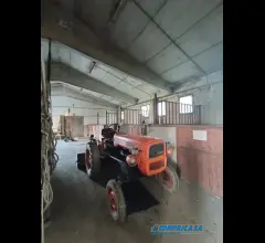 Appartamenti in Vendita - Capannone agricolo con terreno