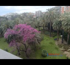 Zona calzabigi piano alto 5 vani salone triplo balconato