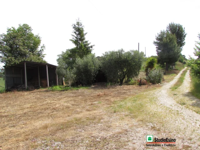 Appartamenti in Vendita - Casolare bifamiliare con terreno