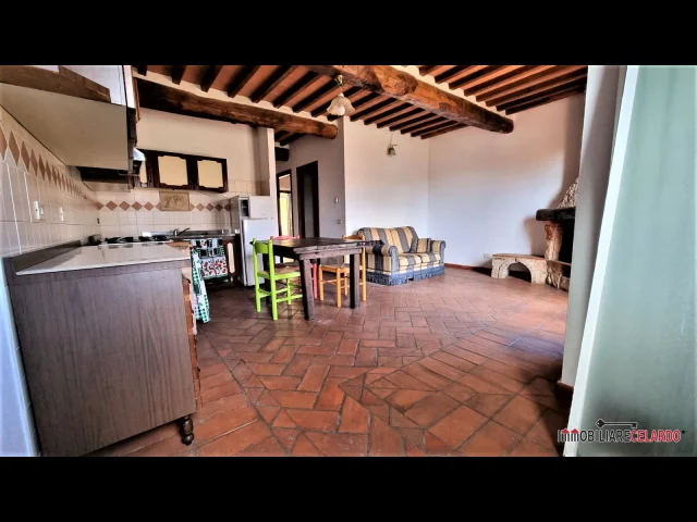 Appartamenti in Vendita - Appartamento con ingresso indipendente e giardino