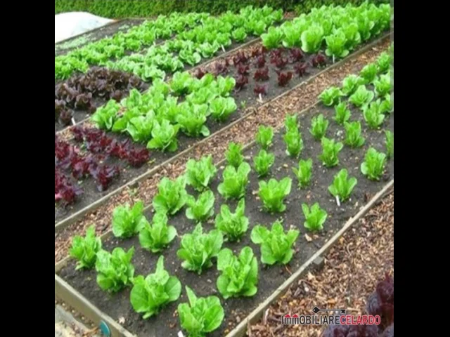 Terreno agricolo