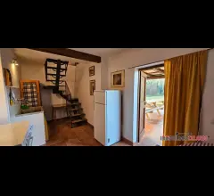 Appartamenti in Vendita - Magazzino terratetto con giardino