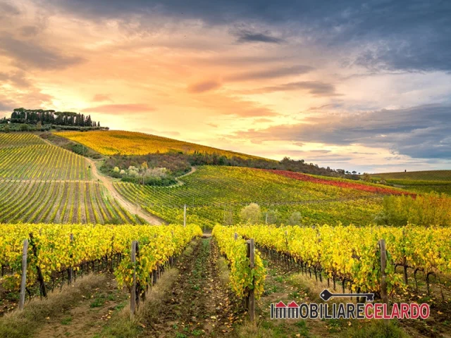 Azienda agricola con struttura ricettiva