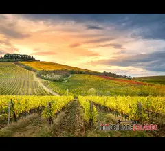 Azienda agricola con struttura ricettiva