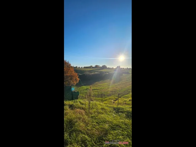 Terreno agricolo