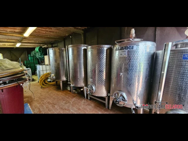Azienda agricola