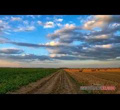 Terreno agricolo