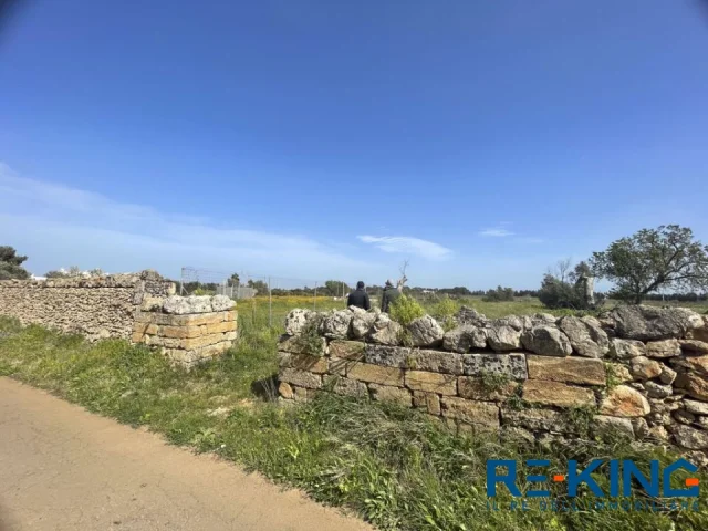 Galatone terreno agricolo in contrada orelle
