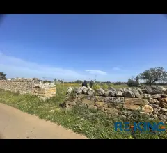 Galatone terreno agricolo in contrada orelle