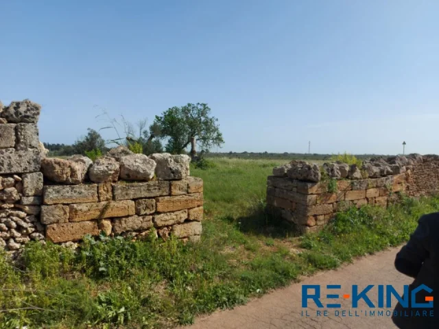 Appartamenti in Vendita - Galatone terreno agricolo in contrada orelle