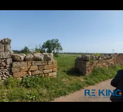 Appartamenti in Vendita - Galatone terreno agricolo in contrada orelle