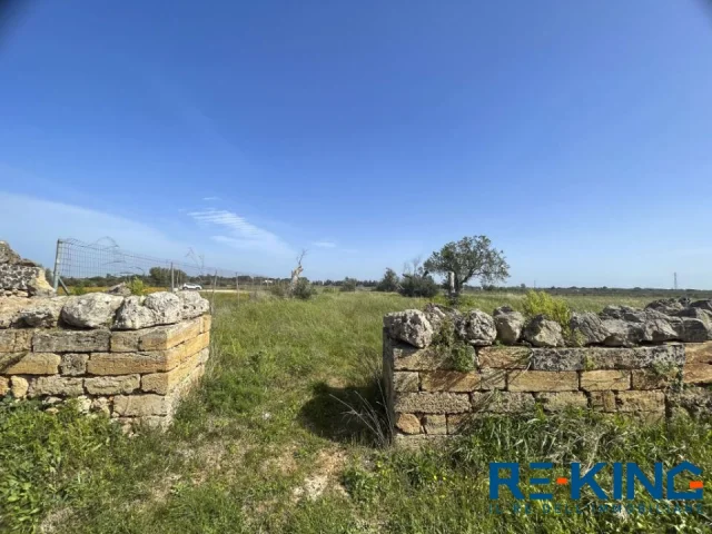 Appartamenti in Vendita - Galatone terreno agricolo in contrada orelle