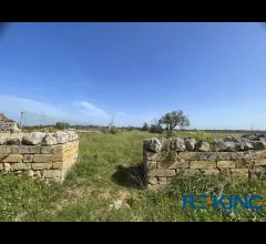 Appartamenti in Vendita - Galatone terreno agricolo in contrada orelle