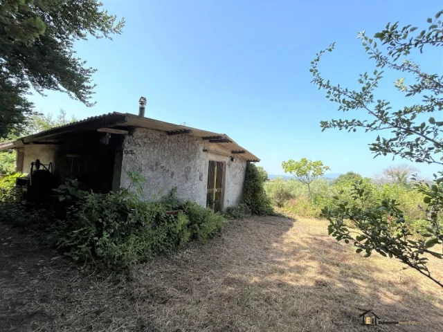 Proprietà indipendente con terreno