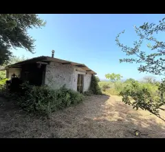Proprietà indipendente con terreno