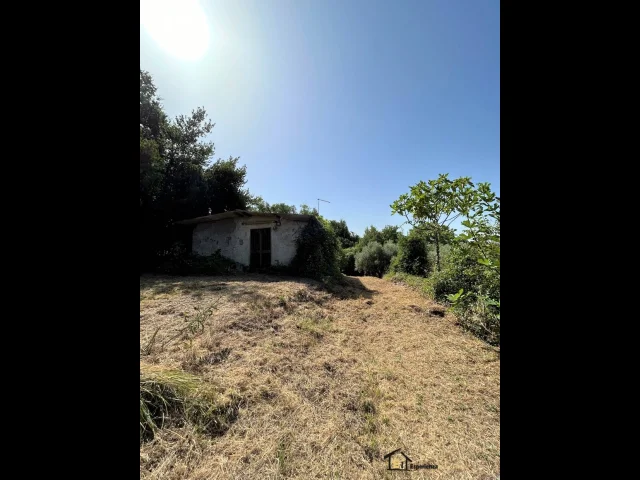 Appartamenti in Vendita - Proprietà indipendente con terreno