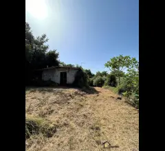 Appartamenti in Vendita - Proprietà indipendente con terreno