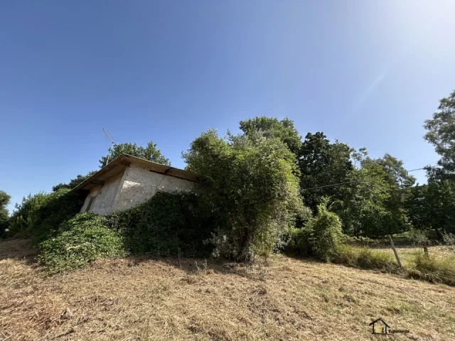 Appartamenti in Vendita - Proprietà indipendente con terreno
