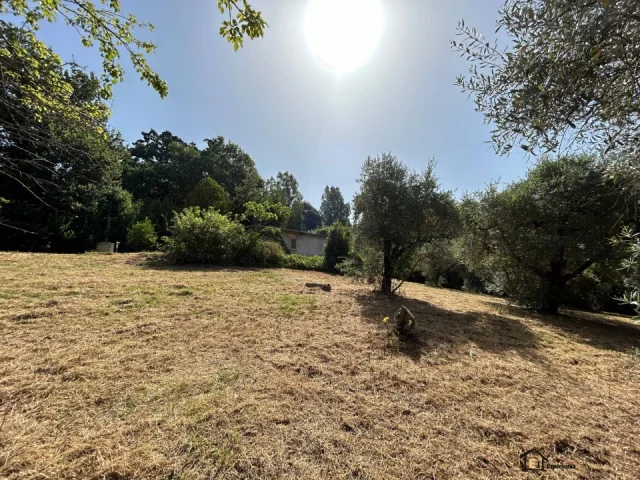 Appartamenti in Vendita - Proprietà indipendente con terreno