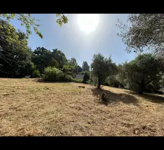 Appartamenti in Vendita - Proprietà indipendente con terreno