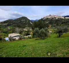 Appartamenti in Vendita - Capannone con terreno