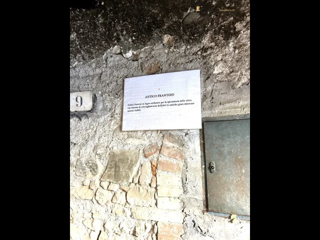 Appartamenti in Vendita - Magazzino con antico torchio