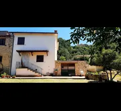 Appartamenti in Vendita - Cielo-terra con corte privata