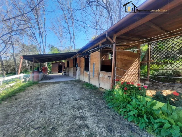 Appartamenti in Vendita - Terreno con maneggio