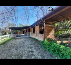 Appartamenti in Vendita - Terreno con maneggio